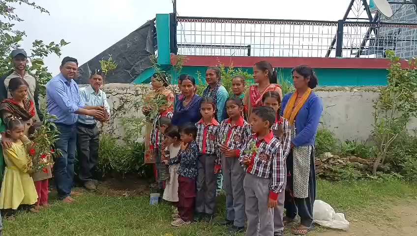 हरेला पर्व पर सिरोली में हुआ पौधारोपण, पर्यावरण संरक्षण का दिया संदेश